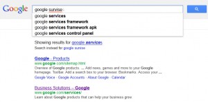 google survises