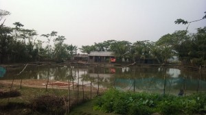 Adaesha-Gram(Kolabaria)