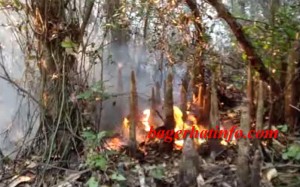 Fair-in-Sundorbom(1)