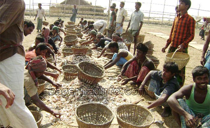 shutki-in-Sundorbon-pic-03