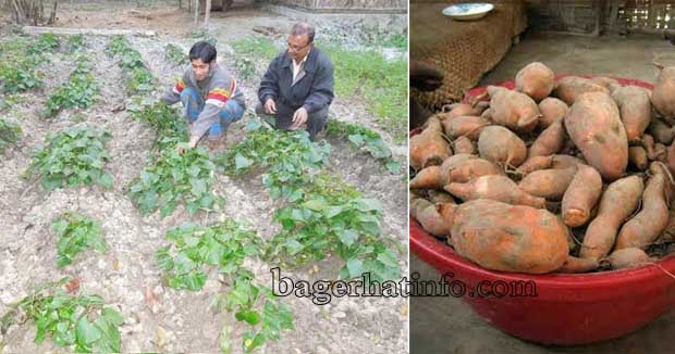 OSP-Publication-WorldFish