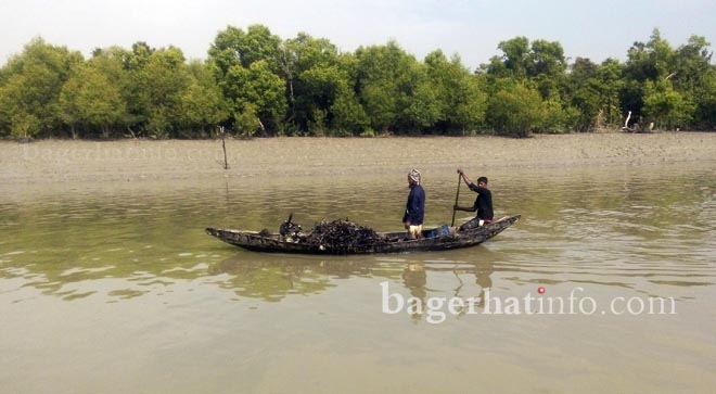 Oil-Collection-pic-02