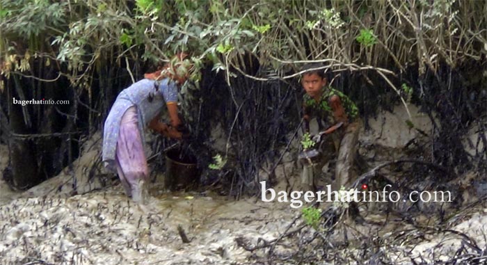 Oil-Cullection-picture-at-sundorbon