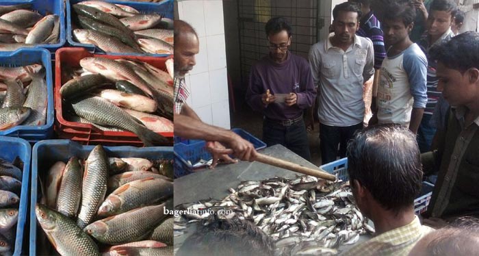 Fish-PIc-at-BarakPur02