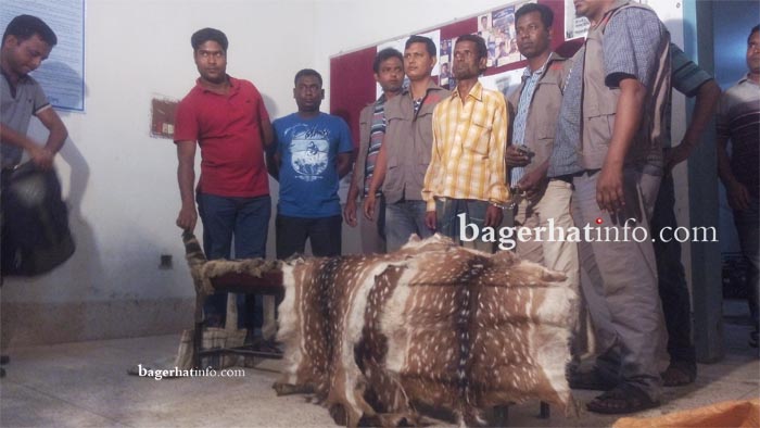 Deer-Scin-Pic1(04-03-2015)