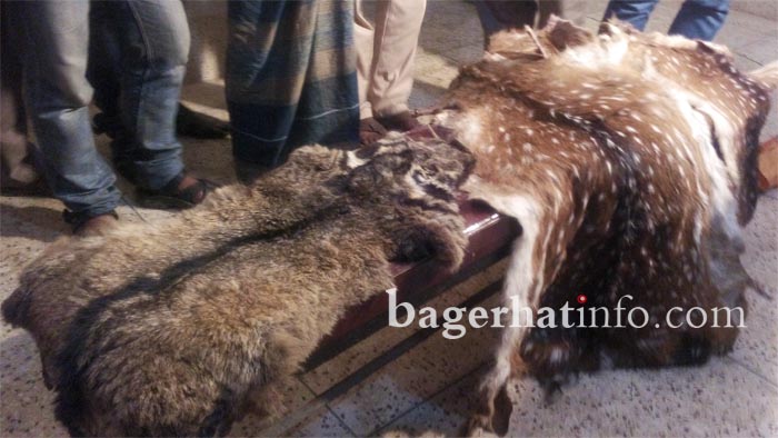 Deer&tiger-Scin-Pic-2(04-03-2015)