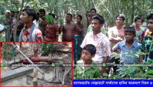 Bagerhat-Pic-3(23-05-2015)Elephant