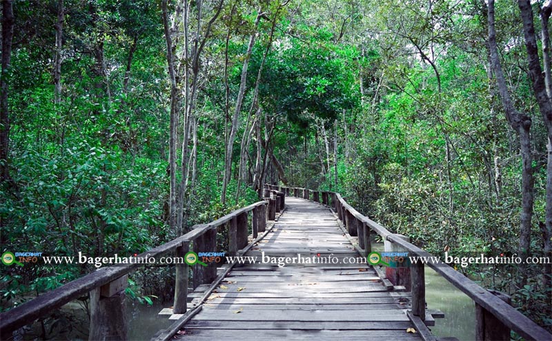 karamjal-Sundarban-Pic-003