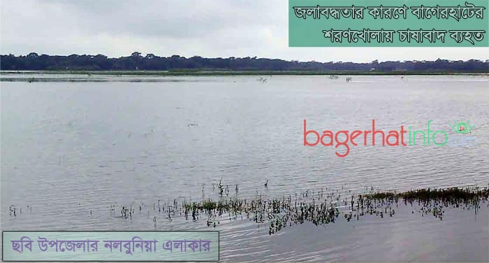 Bagerhat-Pic-2(27-07-2015)skhola