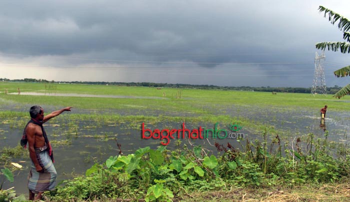 Bagerhat-Agricultur-Pic-1