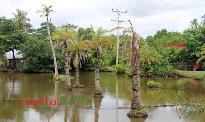 Bagerhat-Pic-1(25-09-2015)Rimpal