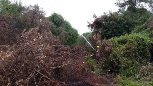 SundorBon-Fire-28-03-2016Pic-3