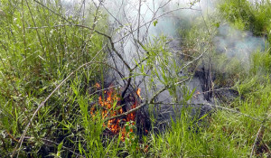 SundorBon-Fire@13-04-2016